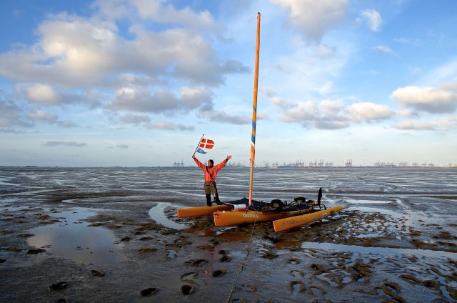 The king of the Wadden Sea